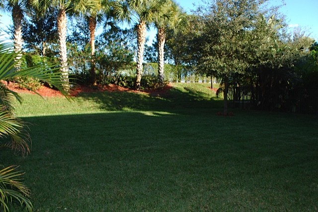 the large backyard features brand new sod and landscaping.